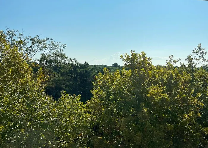 Ulisse 호텔 마리나로미에